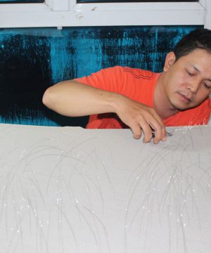 trang trí xe ô tô bằng sợi quang - ONGBACH